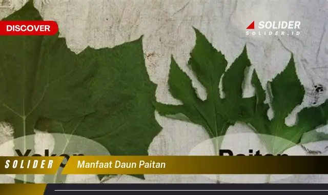 manfaat daun paitan