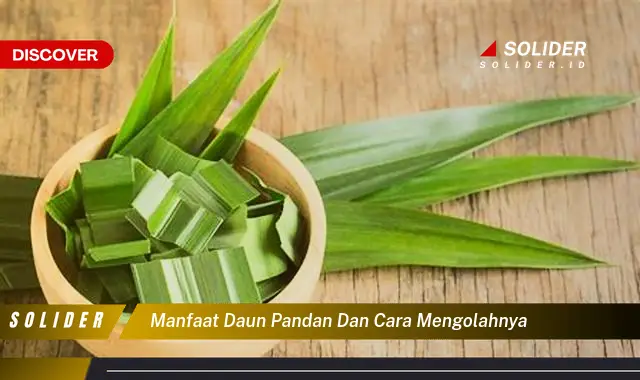 manfaat daun pandan dan cara mengolahnya