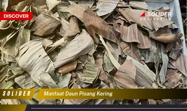 manfaat daun pisang kering