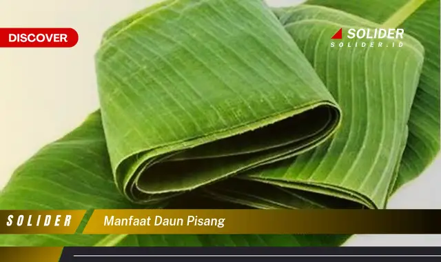 manfaat daun pisang