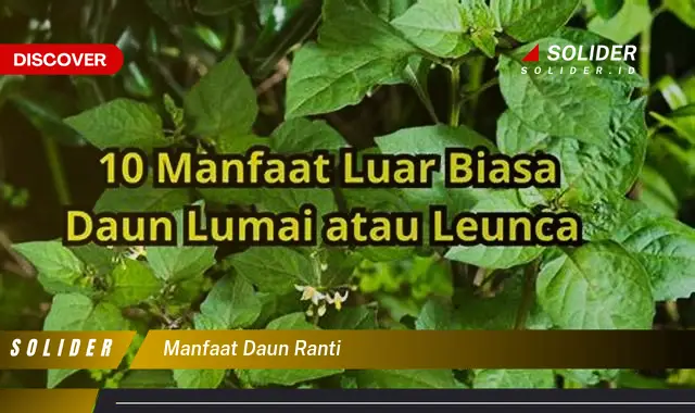 manfaat daun ranti