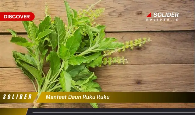 manfaat daun ruku ruku