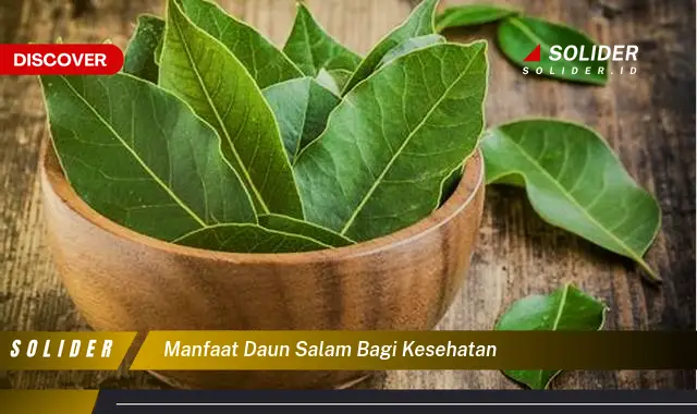 manfaat daun salam bagi kesehatan