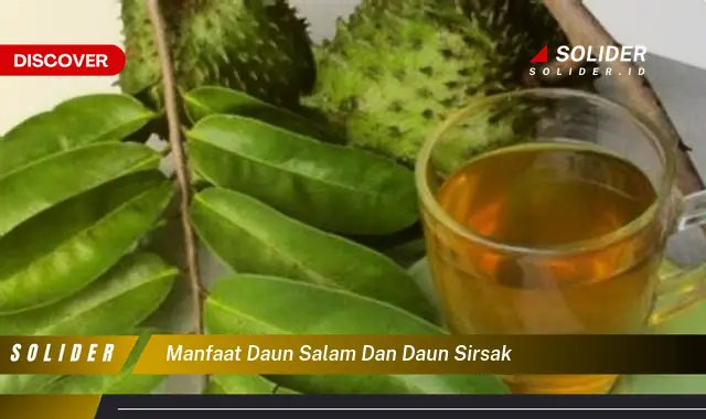 manfaat daun salam dan daun sirsak