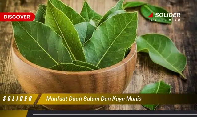 manfaat daun salam dan kayu manis