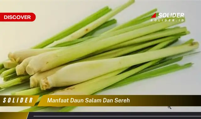 Ketahui 4 Manfaat Daun Salam dan Sereh yang Jarang Diketahui