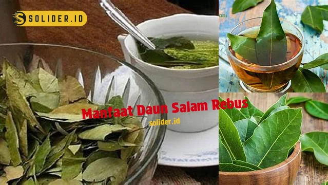 Ketahui 4 Manfaat Daun Salam Rebus yang Bikin Kamu Penasaran