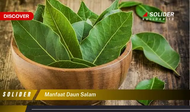 manfaat daun salam