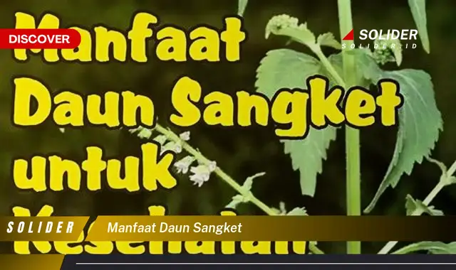 manfaat daun sangket