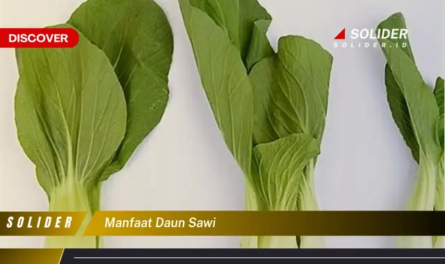 manfaat daun sawi