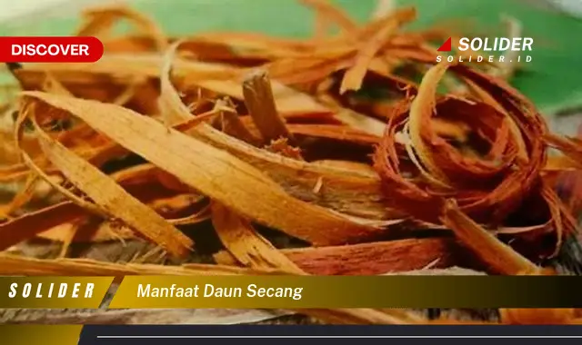 manfaat daun secang