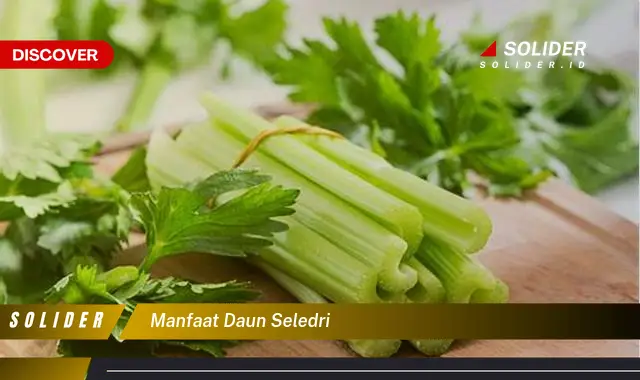 manfaat daun seledri