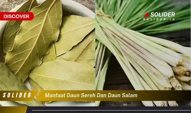 manfaat daun sereh dan daun salam