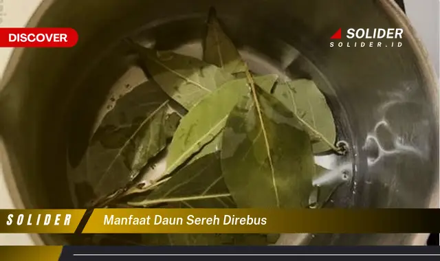 manfaat daun sereh direbus