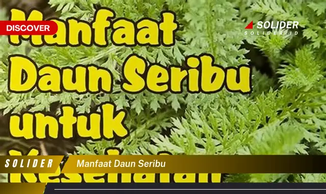 manfaat daun seribu