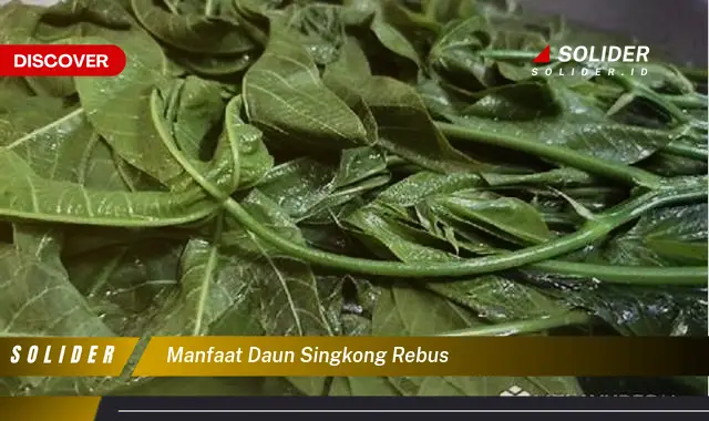 manfaat daun singkong rebus