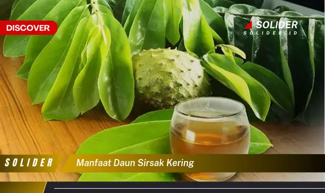 manfaat daun sirsak kering