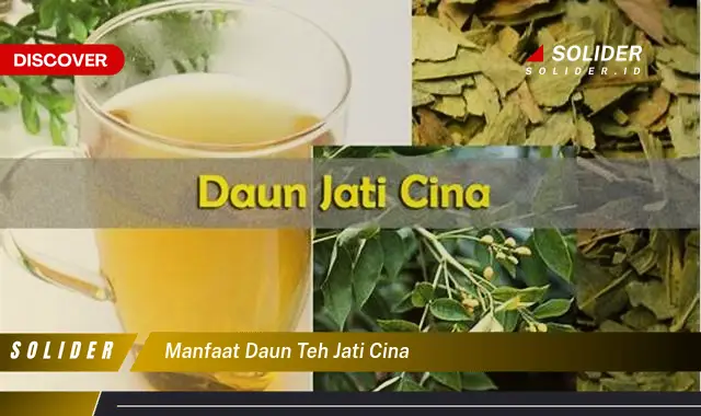 manfaat daun teh jati cina