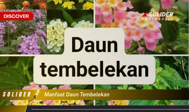 manfaat daun tembelekan