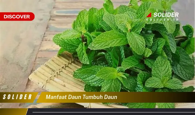 manfaat daun tumbuh daun