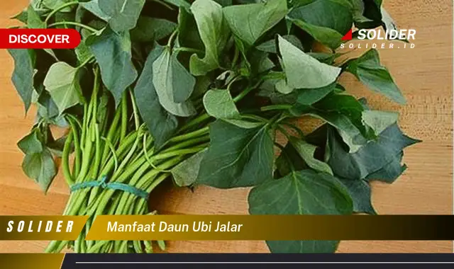 manfaat daun ubi jalar