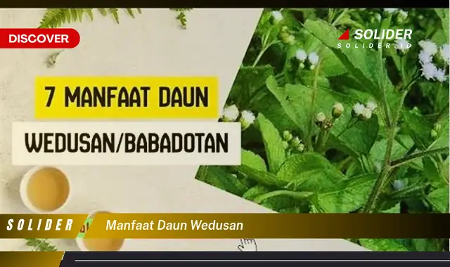 manfaat daun wedusan