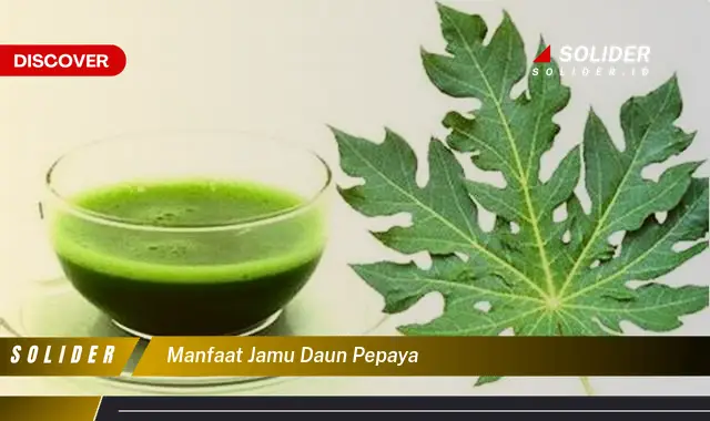 manfaat jamu daun pepaya