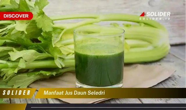 manfaat jus daun seledri