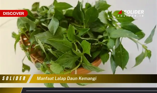 manfaat lalap daun kemangi