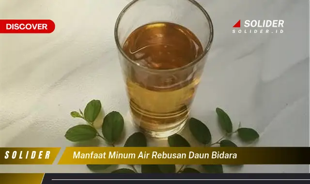 manfaat minum air rebusan daun bidara