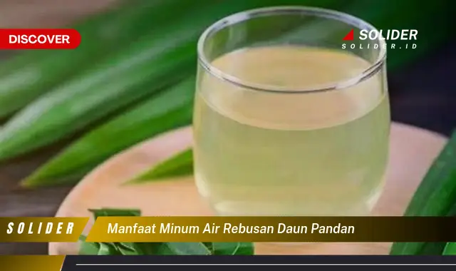 manfaat minum air rebusan daun pandan