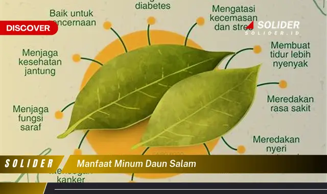 manfaat minum daun salam