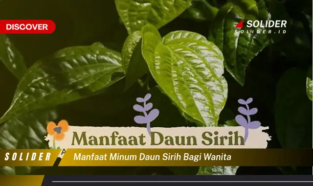 manfaat minum daun sirih bagi wanita