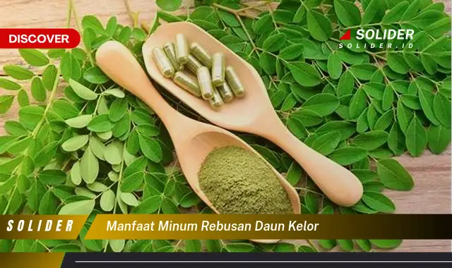 manfaat minum rebusan daun kelor