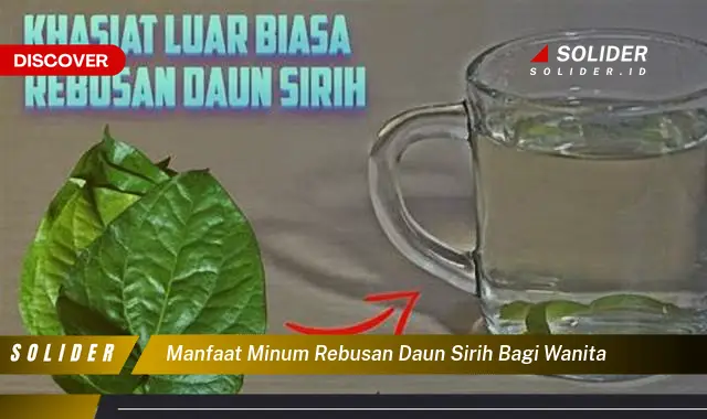 manfaat minum rebusan daun sirih bagi wanita