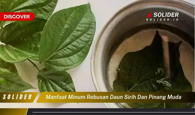 manfaat minum rebusan daun sirih dan pinang muda