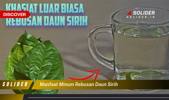 manfaat minum rebusan daun sirih