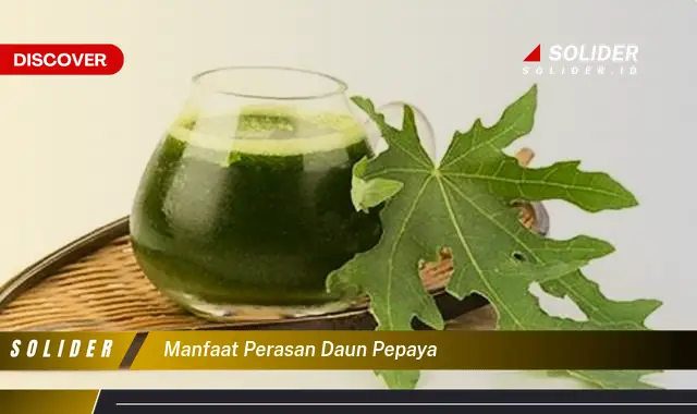 manfaat perasan daun pepaya