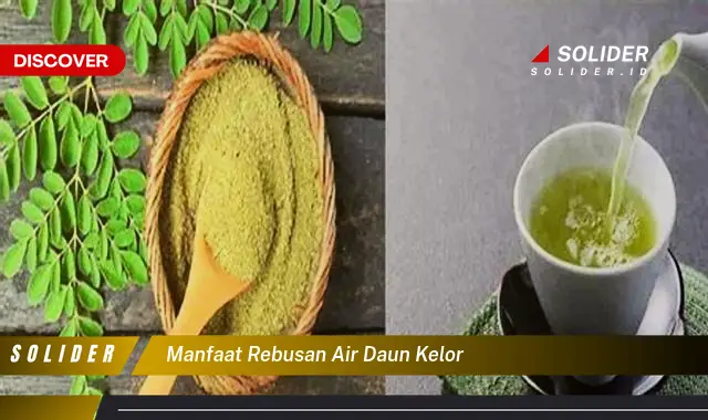 manfaat rebusan air daun kelor