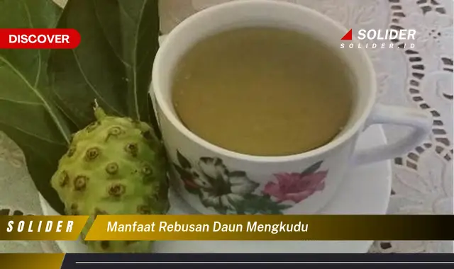 manfaat rebusan daun mengkudu