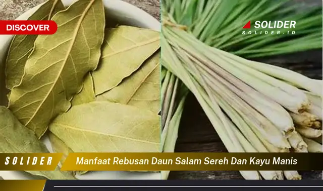 manfaat rebusan daun salam sereh dan kayu manis