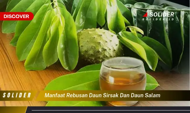 manfaat rebusan daun sirsak dan daun salam