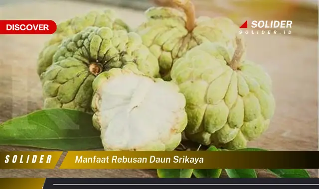 manfaat rebusan daun srikaya