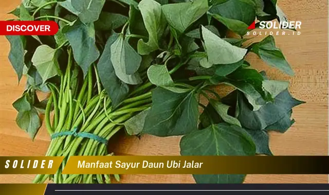 manfaat sayur daun ubi jalar