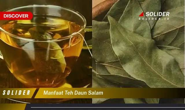 Bukan Cuma Daun Kemangi, Ini Dia 4 Manfaat Daun Salam Yang Jarang Diketahui