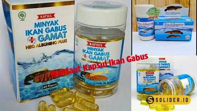 manfaat kapsul ikan gabus