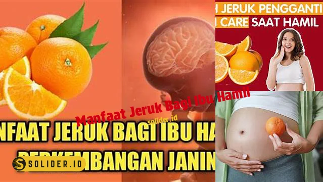 Temukan Manfaat Sarapan Oatmeal Yang Jarang Diketahui Solider