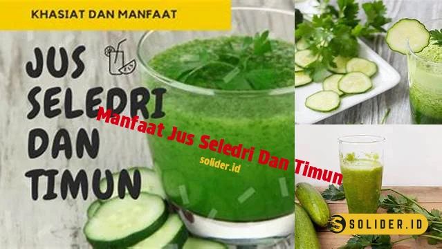 manfaat jus seledri dan timun