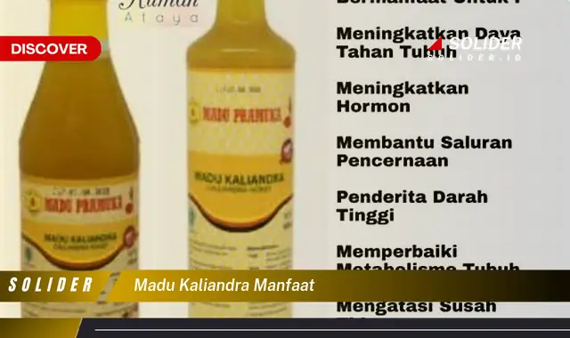 madu kaliandra manfaat