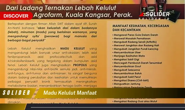 madu kelulut manfaat